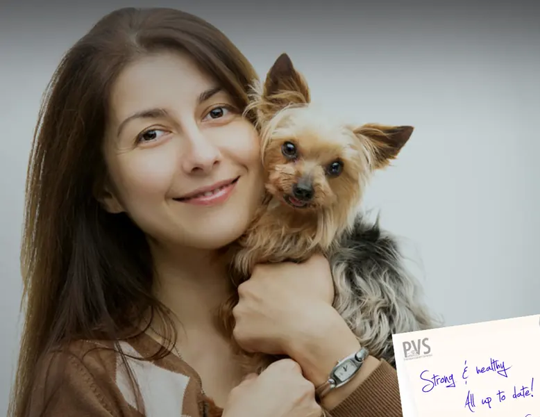 Pet Vaccination Services clinic branding — local lead generation campaign by Exclusive AI